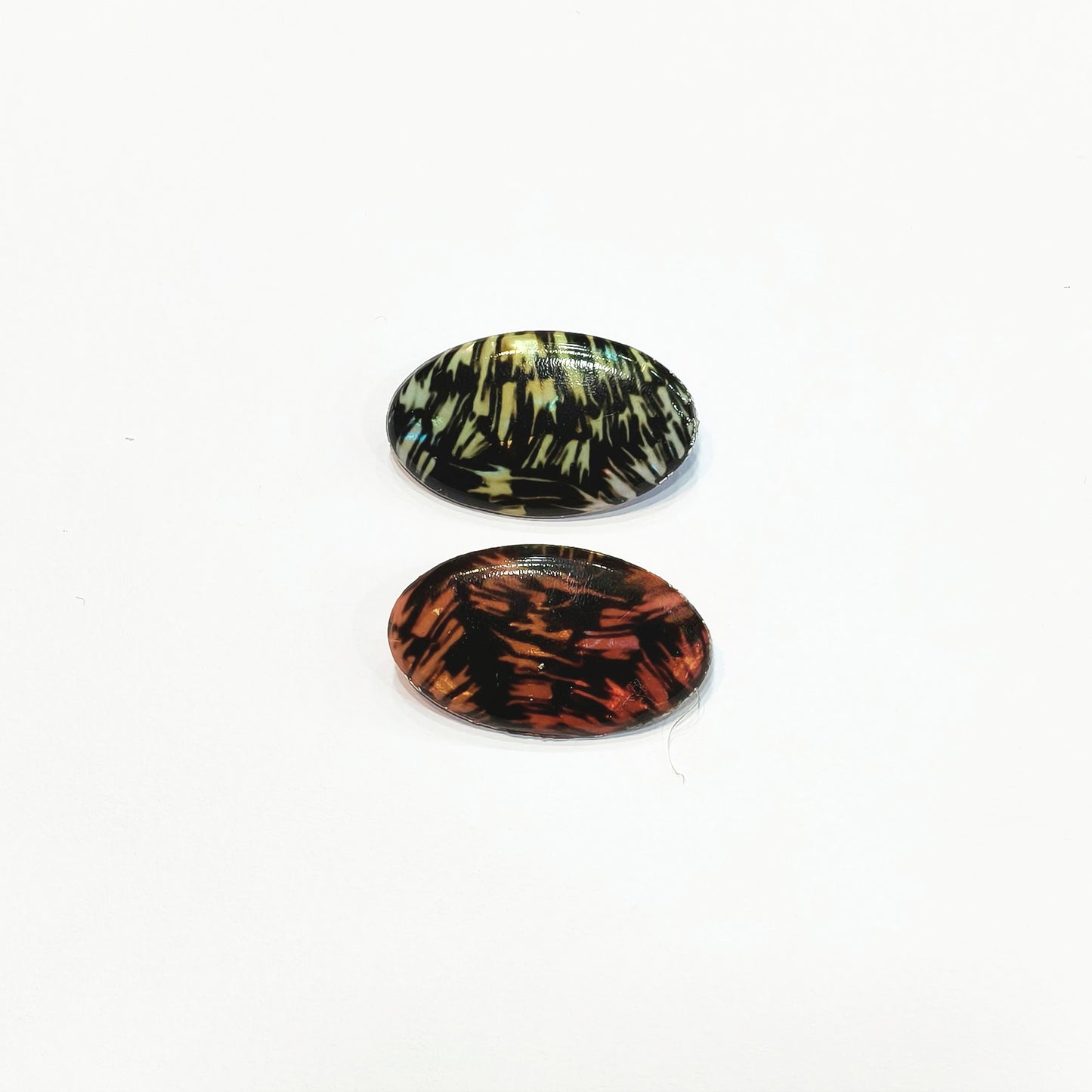 Saree Pin Pack of 6pcs. Printed pattern.